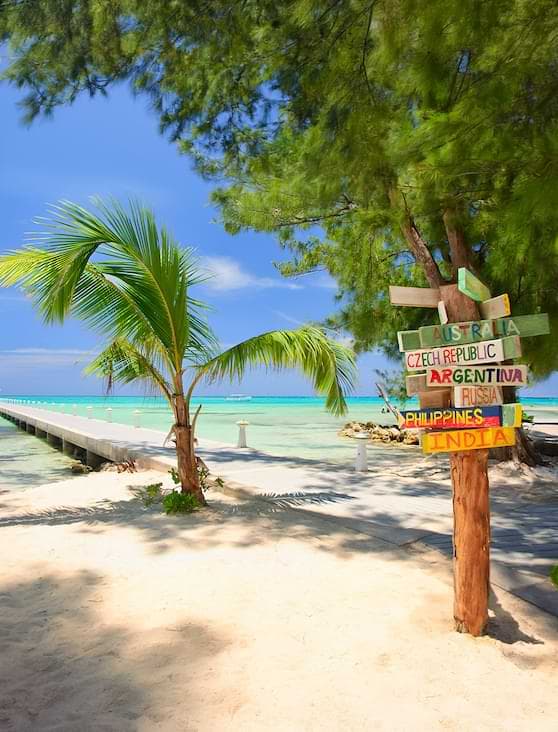 Beach Bar & Dining