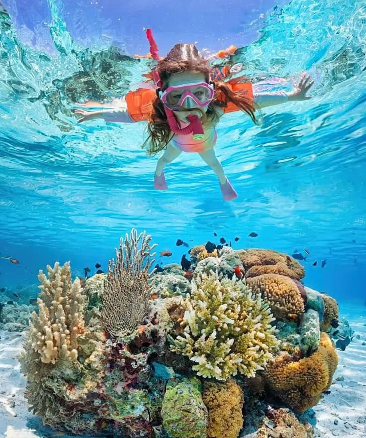 image from Caribbean