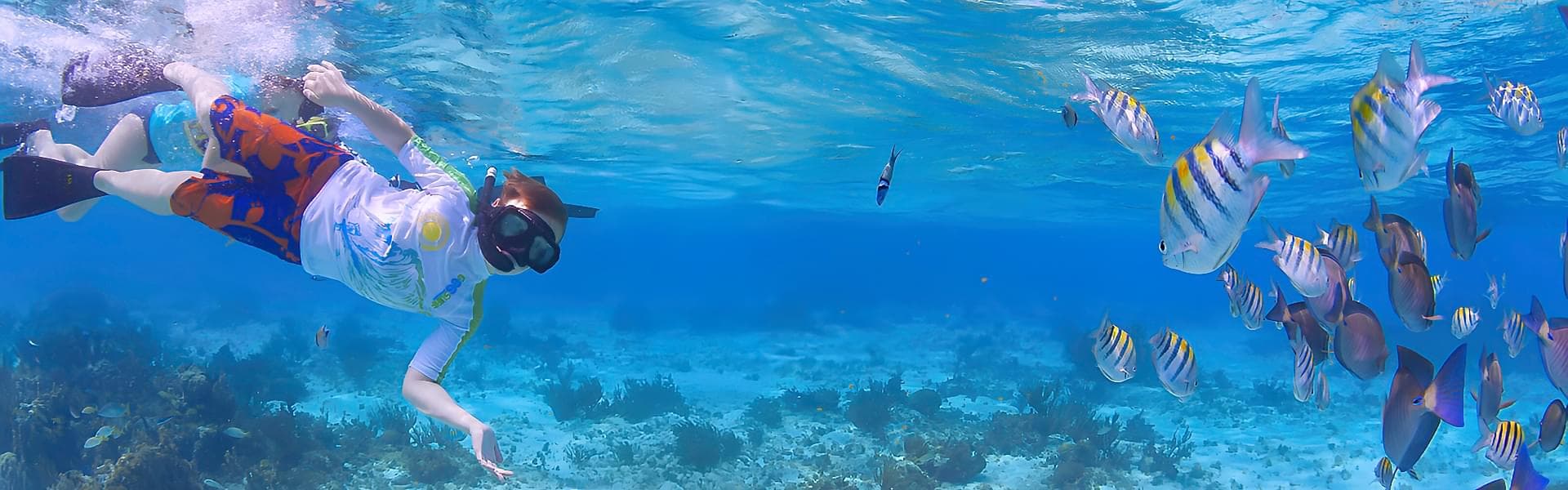 Snorkeling