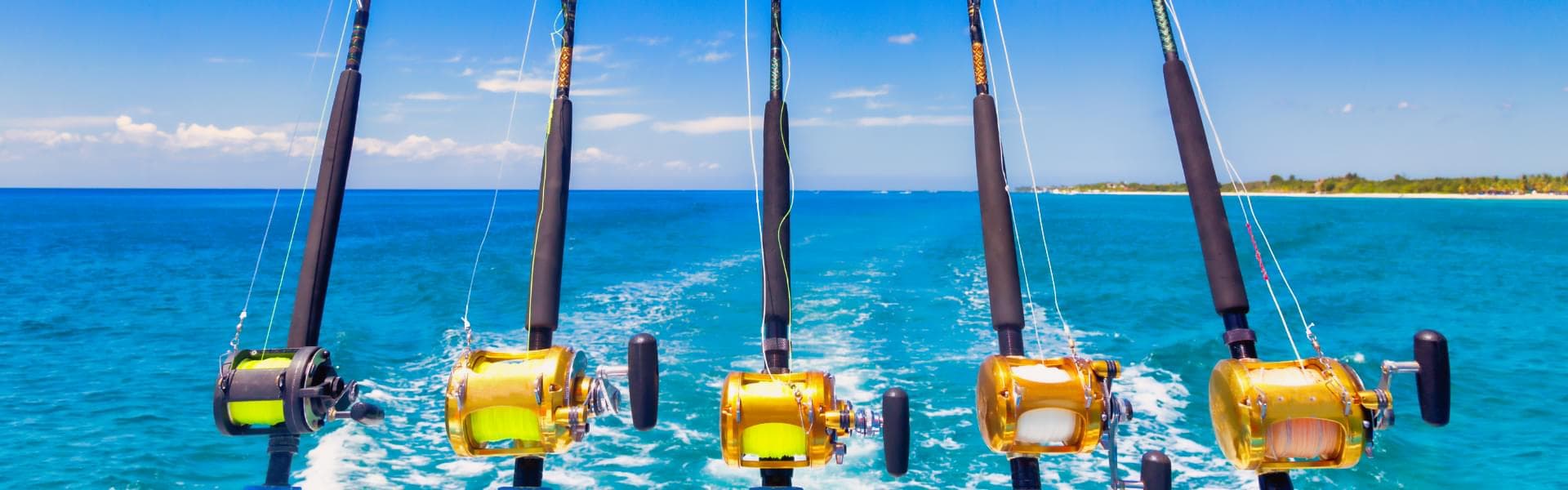 Deep Sea Fishing