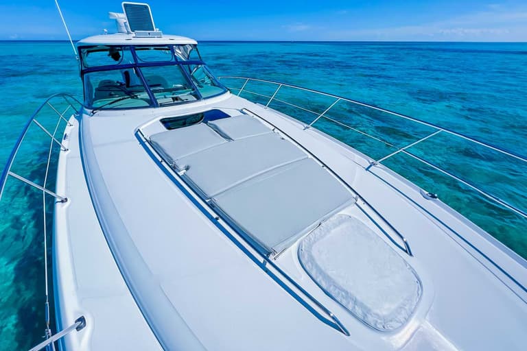 44ft Sea Ray Sundancer charter boat — view 3