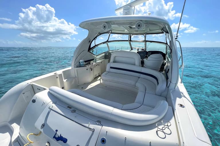 42ft Sea Ray Sundancer charter boat — view 3