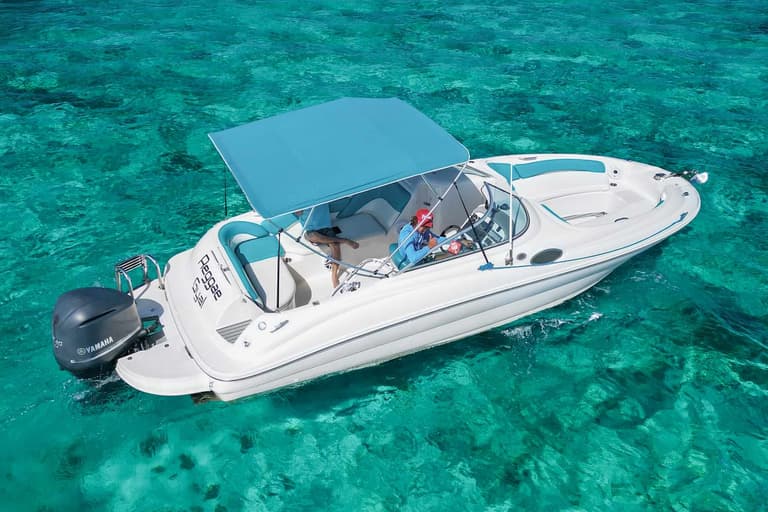 24ft Sea Ray Sundeck charter boat — view 2