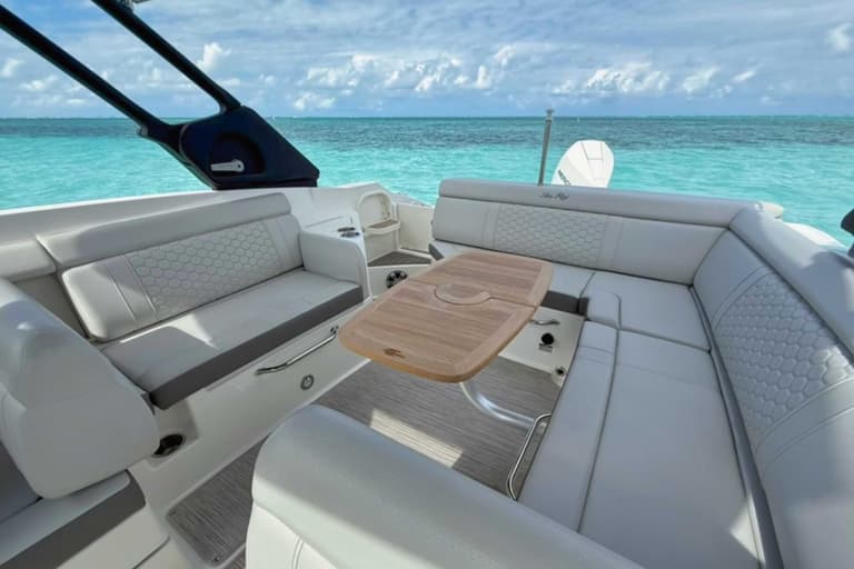 27ft Sea Ray SDX 270 charter boat — view 2