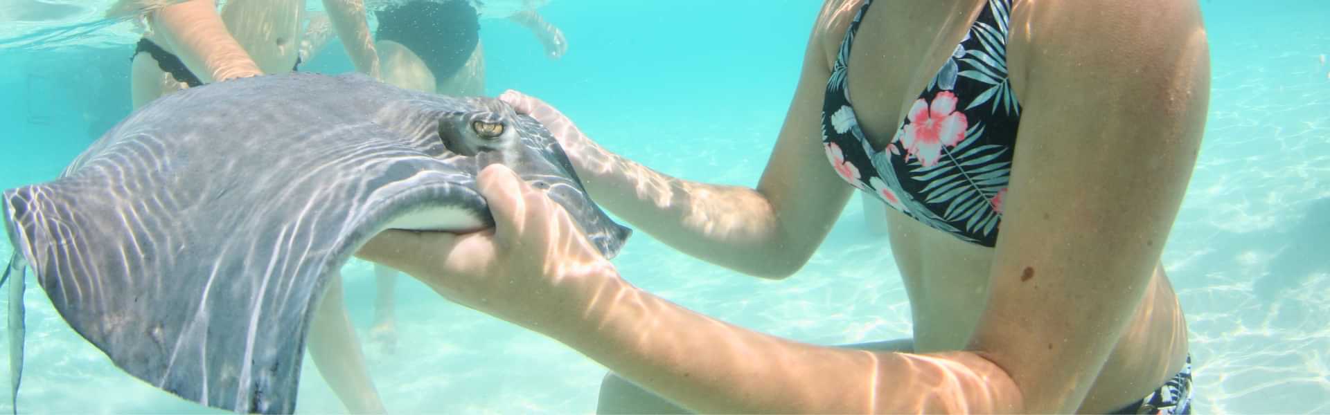 Stingray City Excursions