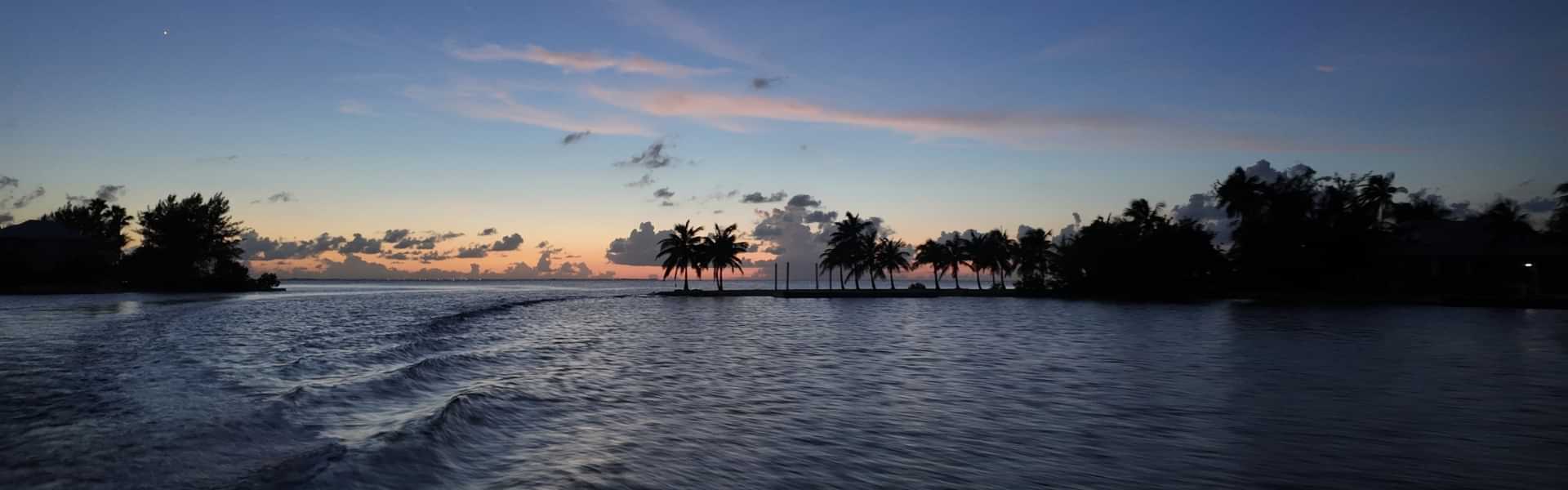 Bioluminescence Tour