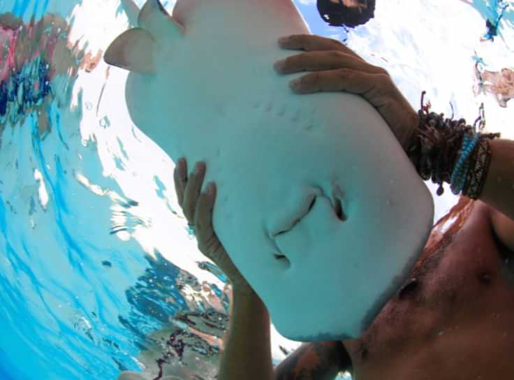 Planning Your Stingray City Excursion