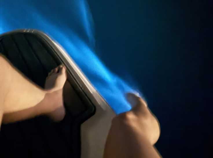 What to Know Before a Bio Bay Tour