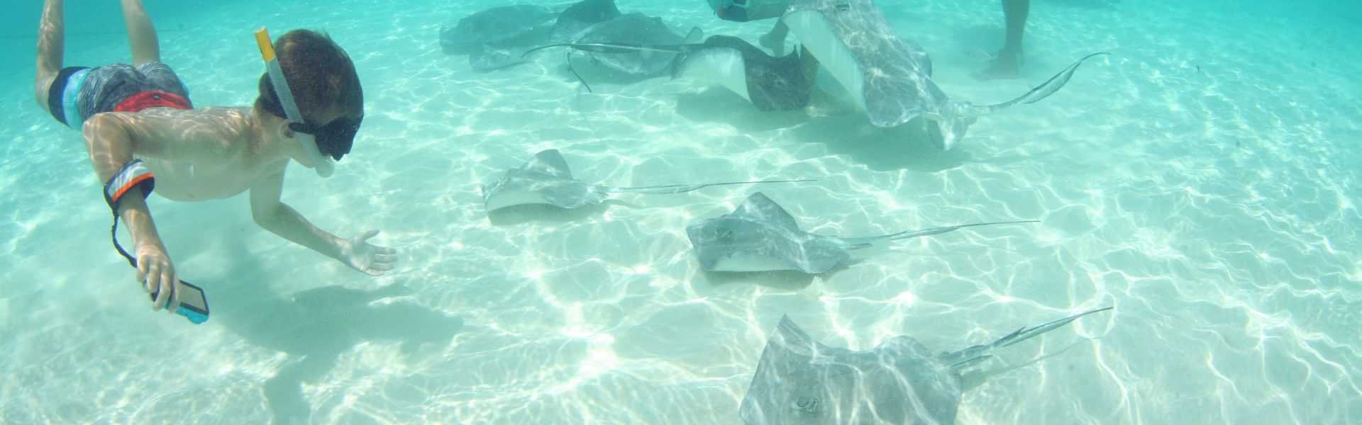 Is Swimming with Stingrays Worth It?