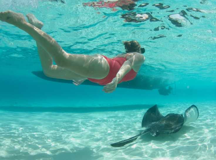 Swimming with Stingrays