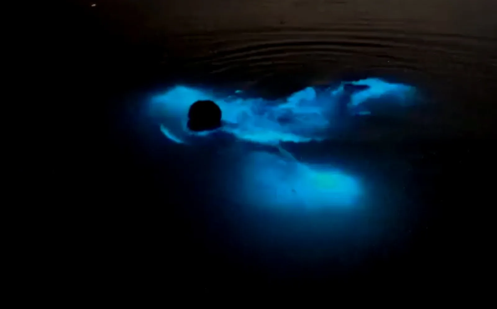 The Glow Experience