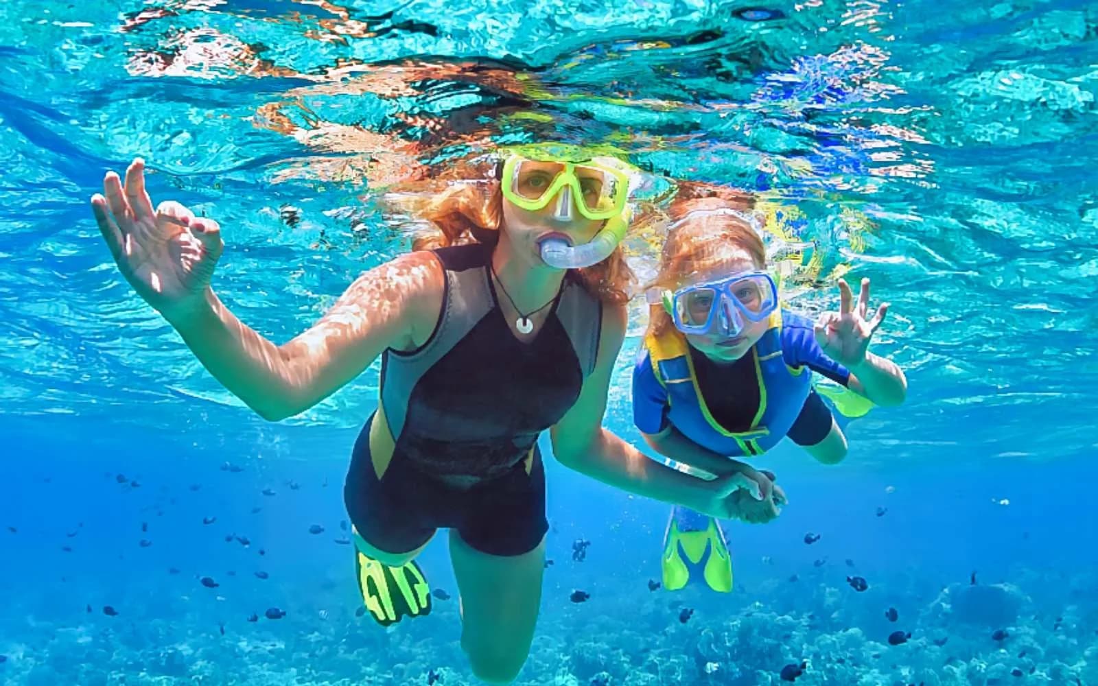 Stingray City, Snorkeling & Starfish Point Tour in Grand Cayman